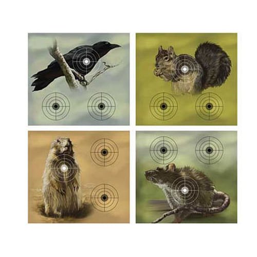 Alternative view of Crosman Varmint Targets, 20-Pack
