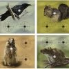 Crosman Varmint Targets, 20-Pack Crosman Varmint Targets, 20-Pack