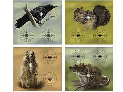 Crosman Varmint Targets, 20-Pack
