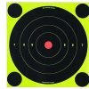 Birchwood Casey Shoot-N-C Targets, 8″ Bullseye, 30 Targets + 120 Pasters