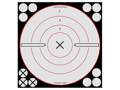 Birchwood Casey Shoot-N-C White/Black Bullseye X Targets & Pasters, 8″, 6ct