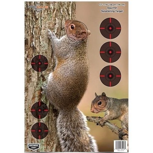 Birchwood Casey Pregame Squirrel Target, 12″x18″, 8ct