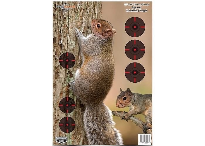 Birchwood Casey Pregame Squirrel Target, 12″x18″, 8ct