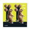 Allen Company EZ Aim Splash Prairie Dog Target, 8″x8″, 6-pack