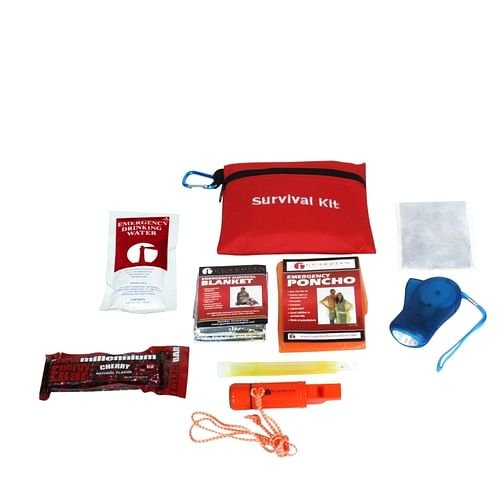 Alternative view of Survival Mini for Children